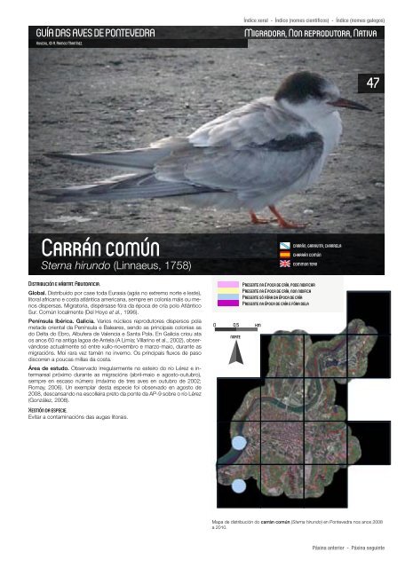 Aves_da_cidade_de_Pontevedra_baja