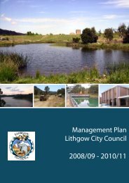 Management Plan 08/09 - Lithgow City Council