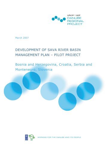 DEVELOPMENT OF SAVA RIVER BASIN MANAGEMENT ... - ICPDR