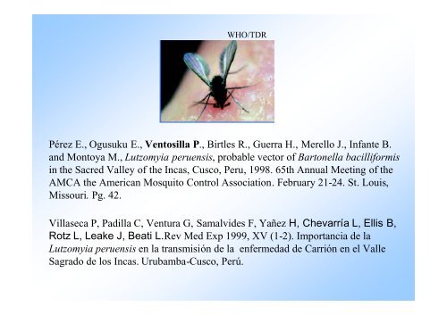 B. bacilliformis - BVS - INS