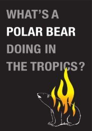 What's a Polar Bear Doing in the Tropics - Animal Concerns ...