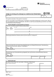G110 PDF Internetformular der Deutschen Rentenversicherung