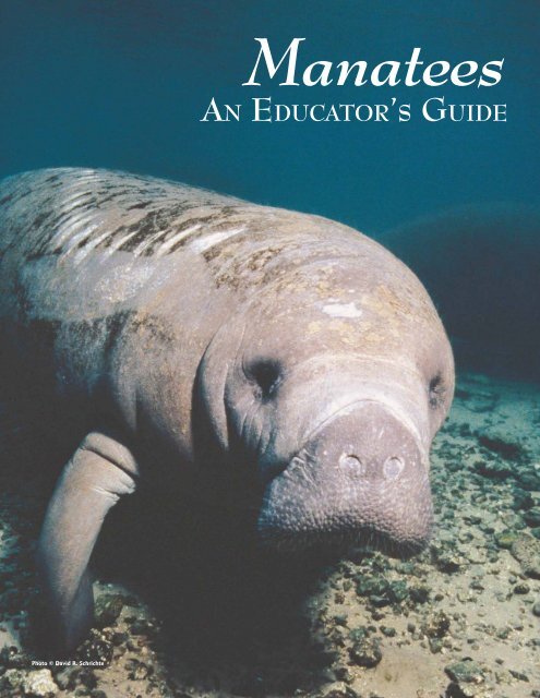 Manatees: An Educator's Guide - Save the Manatee Club