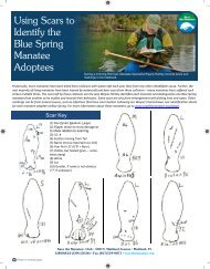 Scar Pattern Chart - Save the Manatee Club