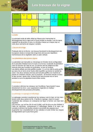 Les travaux de la vigne (PDF) - Vins d'Alsace