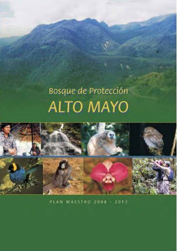 Bosque de ProtecciÃ³n Alto Mayo - BlogCdam - Ministerio del Ambiente