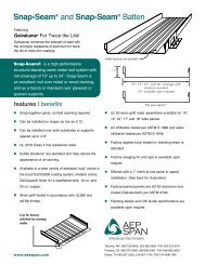 Snap-SeamÂ® and Snap-SeamÂ® Batten - AEP Span