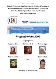 Projektbericht 2009