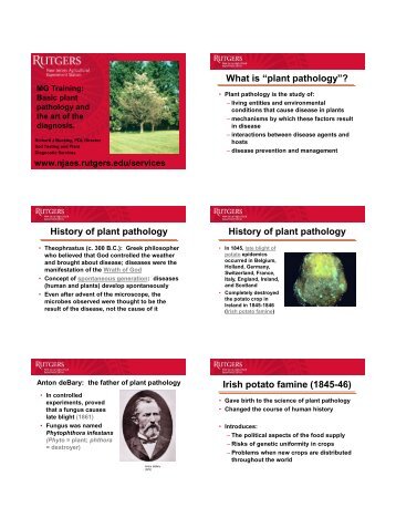 What is “plant pathology”? History of plant pathology - Mgmcnj.org