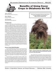 Benefits of Using Cover Crops in Oklahoma No-Till - OSU Fact Sheets