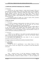 GNDCI Linea 1. Rapporto di sintesi sulla ... - idrologia@polito