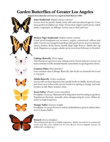 Butterflies of Greater Los Angeles - The Urban Wildlands Group