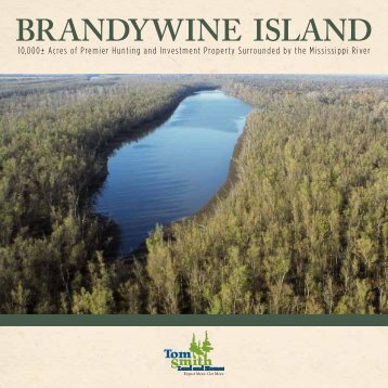 brandywine iSland - Megaagent.com