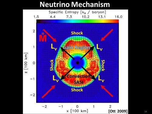 Supernova explosions