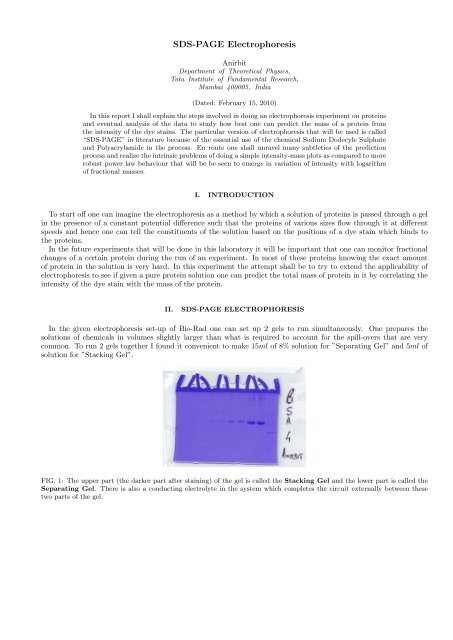 A report on an experiment I did of doing electrophoresis with proteins