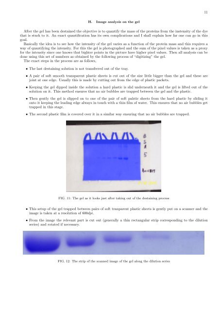 A report on an experiment I did of doing electrophoresis with proteins