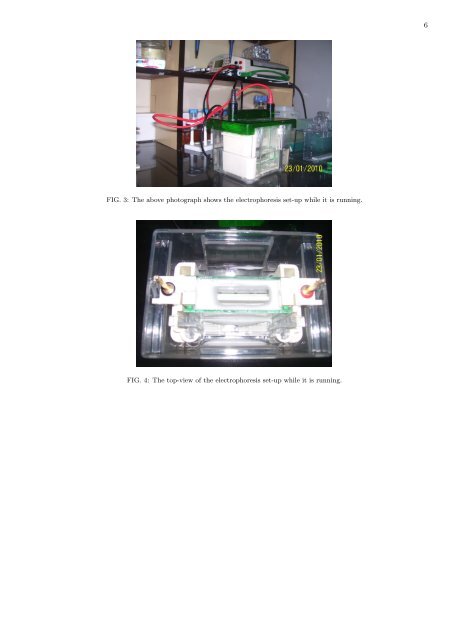 A report on an experiment I did of doing electrophoresis with proteins