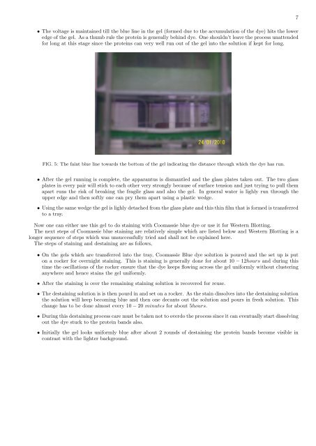 A report on an experiment I did of doing electrophoresis with proteins