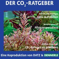 CO2 Ratgeber - Dennerle