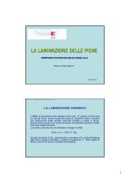 LA LAMINAZIONE DELLE PIENE - idrologia@polito