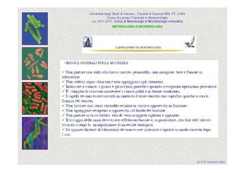 (VALLINI)-PARTE_PRIMA-def.pdf - UniversitÃ  degli Studi di Verona