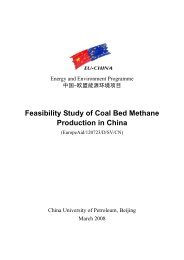 Feasibility Study of Coal Bed Methane Production in China