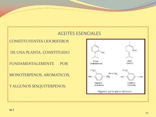 QUIMICA ORGANICA