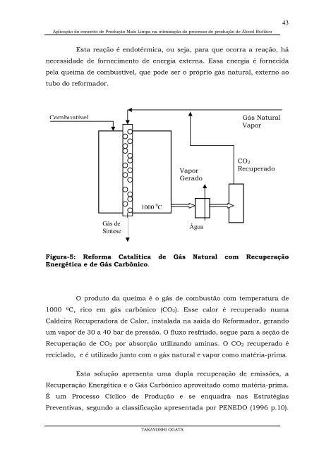 Aplicação do conceito de Produção Mais Limpa na ... - TECLIM