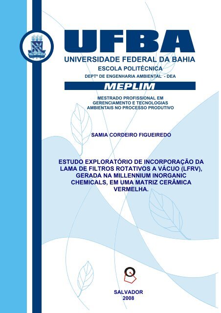 Esquema do fluxograma do estudo. Juiz de Fora, Minas Gerais, Brasil