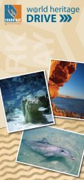 download brochure (pdf) - Shire of Shark Bay
