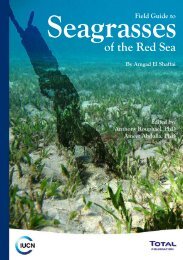 Field Guide to Seagrasses of the Red Sea - Seagrass-Watch