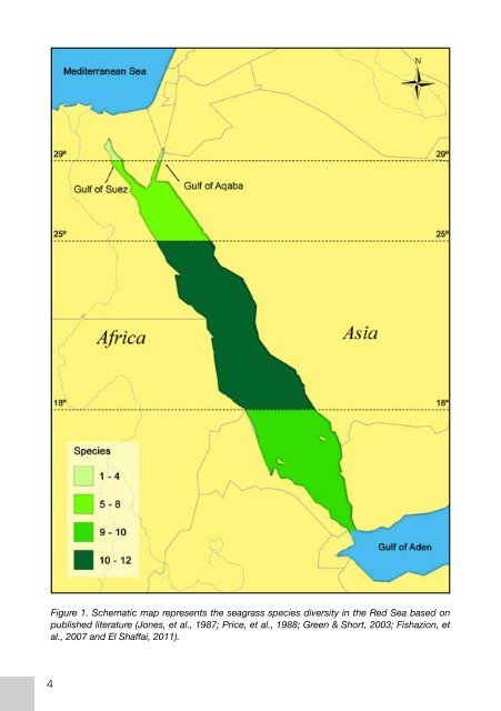 Field Guide to Seagrasses of the Red Sea - Seagrass-Watch