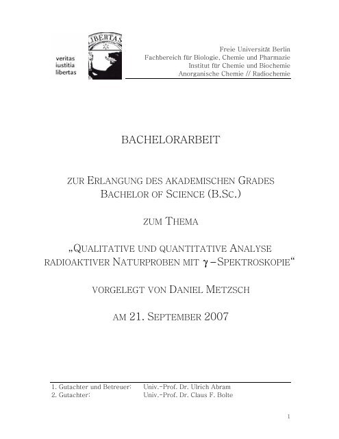BACHELORARBEIT - Metzsch, Daniel
