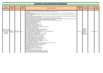 contratos civiles de servicios profesionales - CONELEC