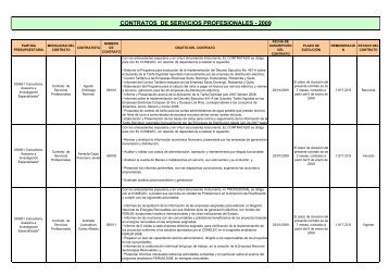 Informe Tecnico - CONELEC