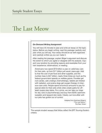 high school college essay examples