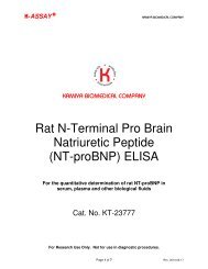 NT-proBNP - Kamiya Biomedical Company