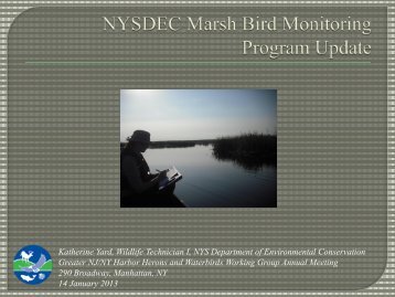 YARD2012_Upstate NY Mashbird Monitoring.pdf - New York-New ...