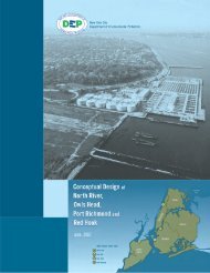 NYCDEPCostAnalys isReport-0607 .pdf - New York-New Jersey ...