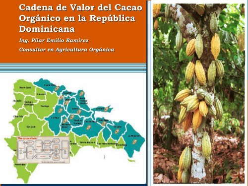 Cadena de Valor del Cacao OrgÃ¡nico en la RepÃºblica ... - Pymerural