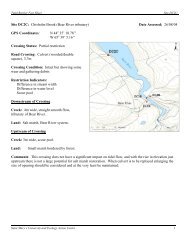 Site DC2C: Chisholm Brook (Bear River tributary)