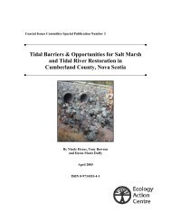 Tidal Barriers & Opportunities for Salt Marsh and Tidal River ...