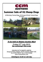 Summer Sale of 112 Sheep Dogs - CCM Auctions
