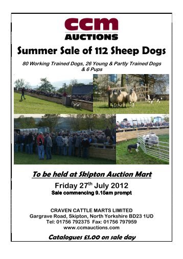 Summer Sale of 112 Sheep Dogs - CCM Auctions