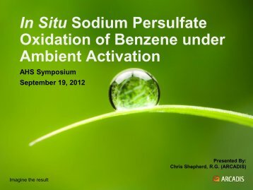 In Situ Sodium Persulfate Oxidation of Benzene under Ambient ...In ...