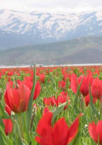 08 - çevresel etki değerlendirme planlama genel müdürlüğü