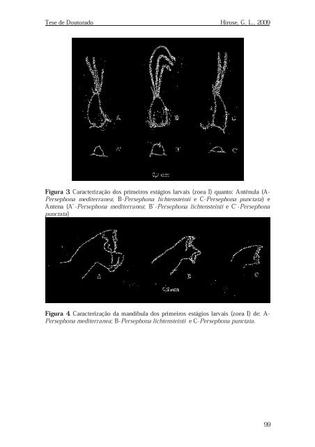 Visualizar Tese - Instituto de BiociÃªncias - Unesp