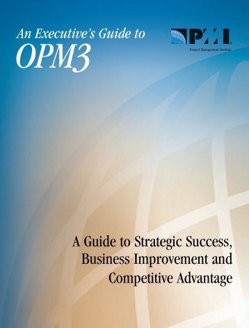 Download the OPM3Â® Knowledge Foundation - Project ...