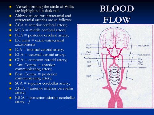 Dizziness: Differential Diagnosis