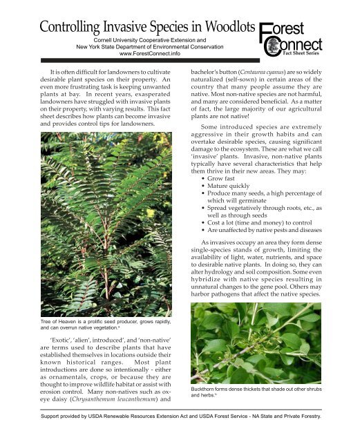 Controlling Invasive Species in Woodlots - Wild Ones Niagara